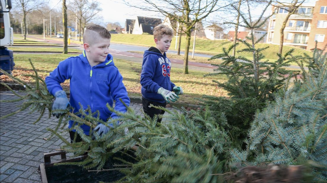 Kinderen brengen kerstbomen bij een verzamelpunt