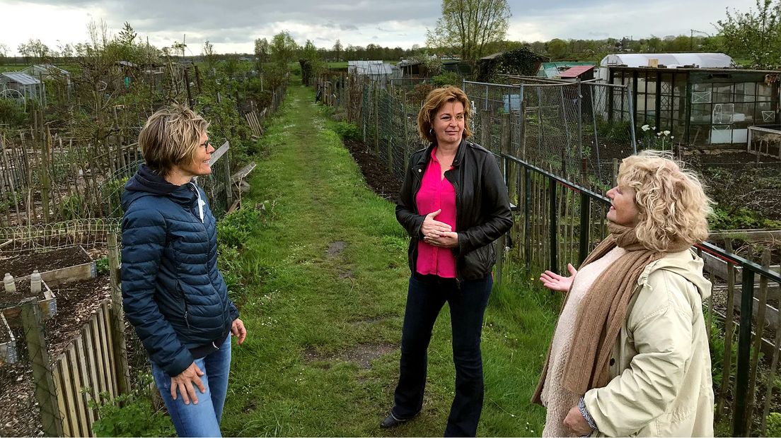 Annie Osinga en Aty Luitze van Ons Buiten in gesprek met D66-raadslid Tineke Flinterman (midden).