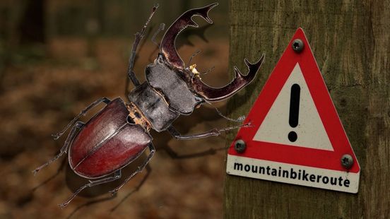 Rechter moet beslissen: mogen mountainbikers dieren doodrijden?