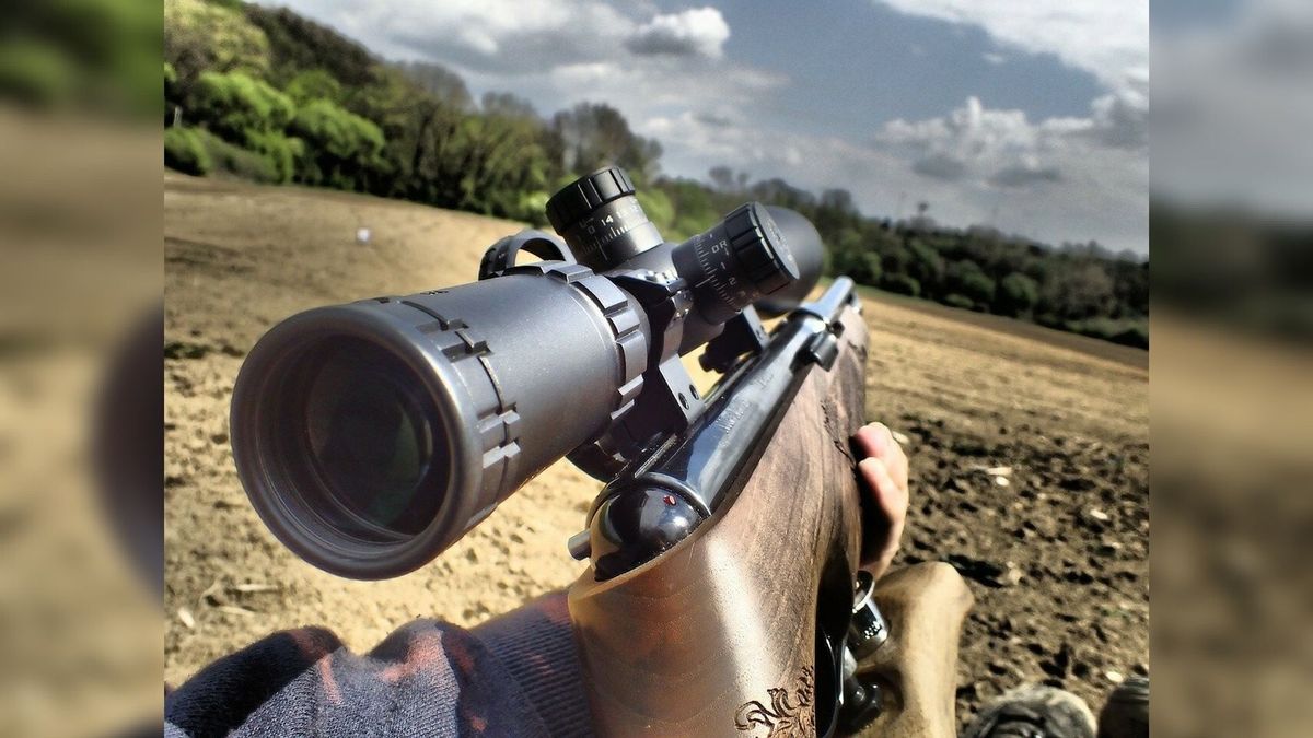 Ratten zijn de klos, schieten met luchtbuks wordt eenvoudiger - Omroep