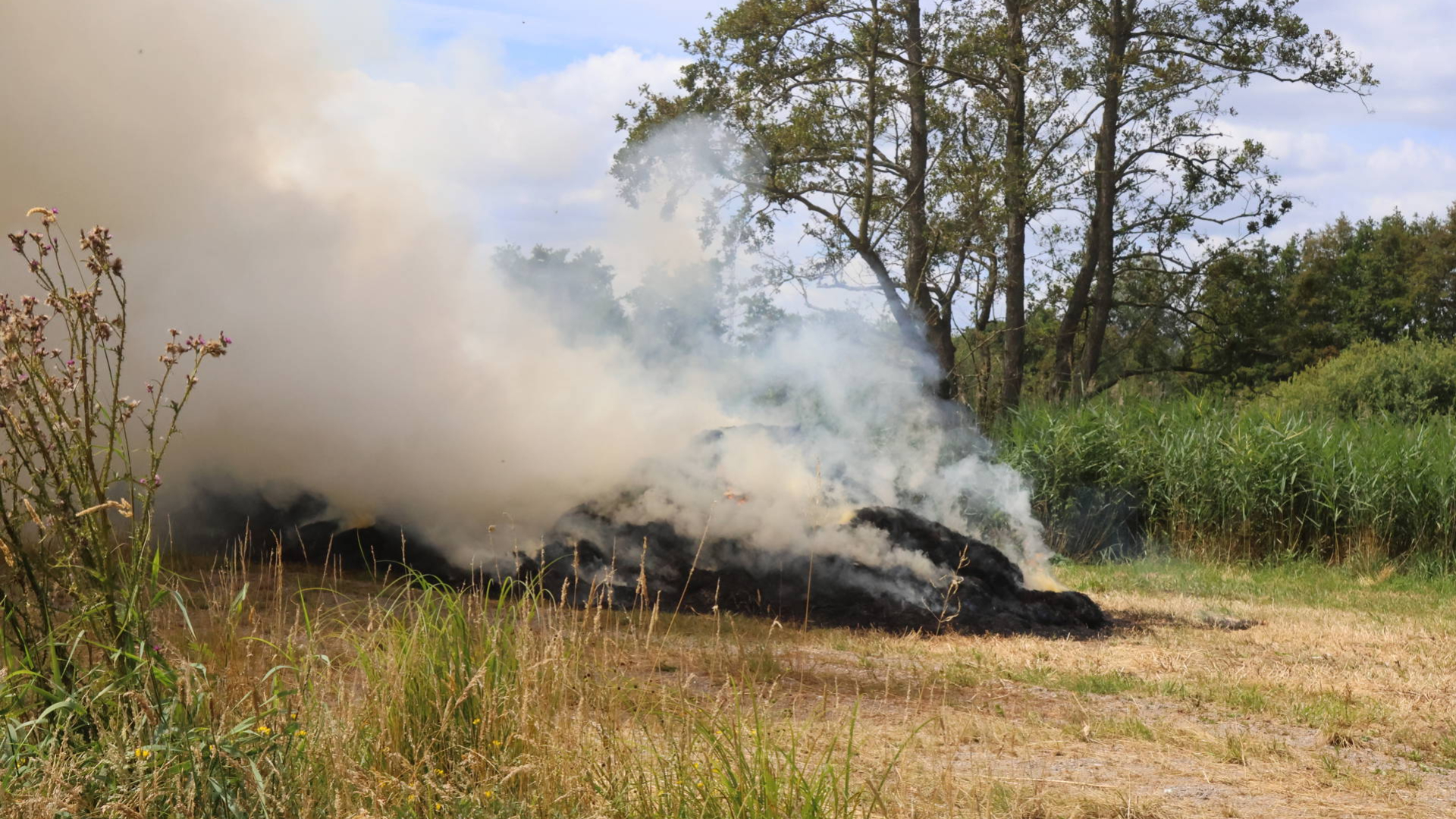Brand in berg gemaaid gras in Veenendaal, veel rook