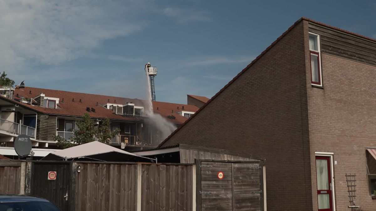 Gewonde en overleden kat bij woningbrand in Almelo.