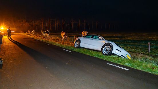 Tesla belandt in greppel