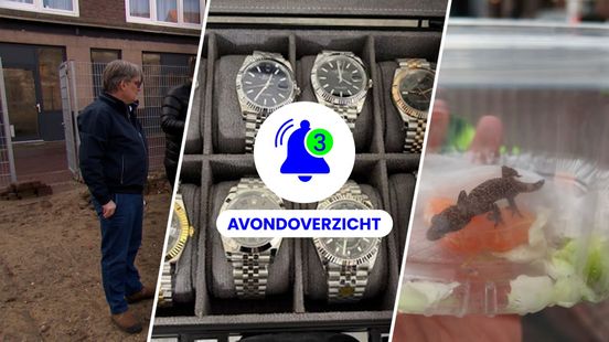 'Illegale sloop', 11.000 nepartikelen en gekko in bakje aardbeien op 4 maart