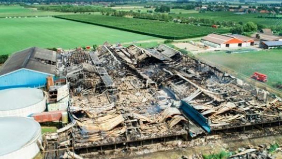 Duizenden dode dieren door stalbranden: 'Maak elektrakeuring verplicht'