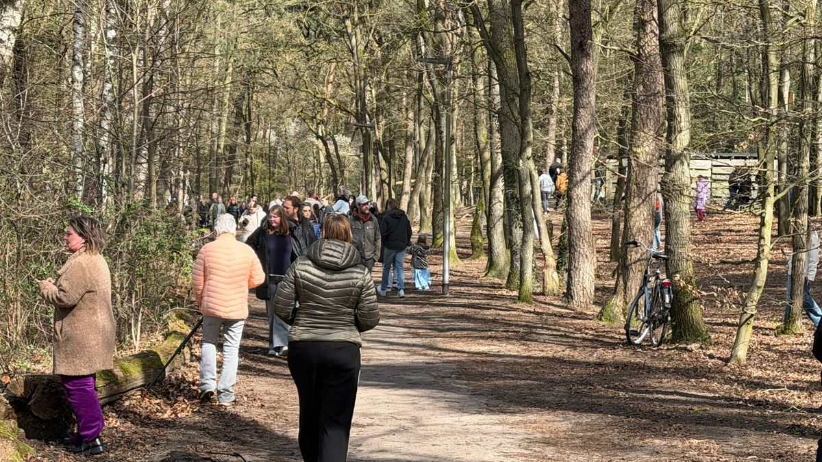 Lees terug | Zoek het Ei 2026: HET GOUDEN EI IS GEVONDEN