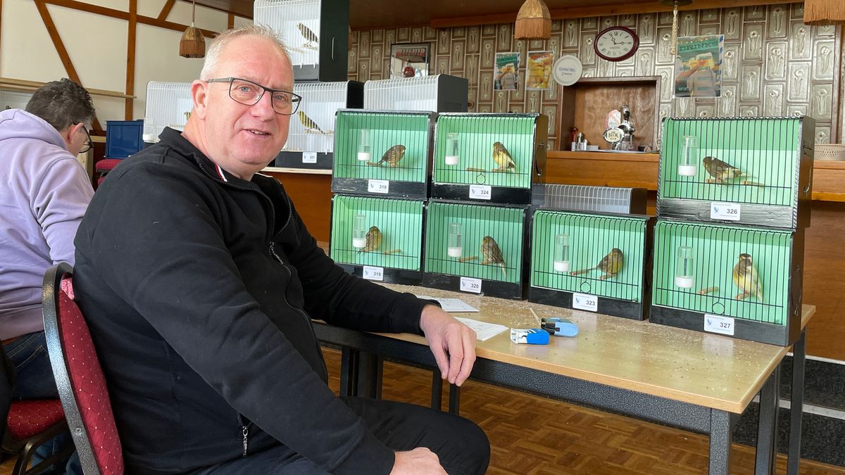 Welke vogel heeft de mooiste snuit en de beste veren? Honderden unieke vogels worden gekeurd