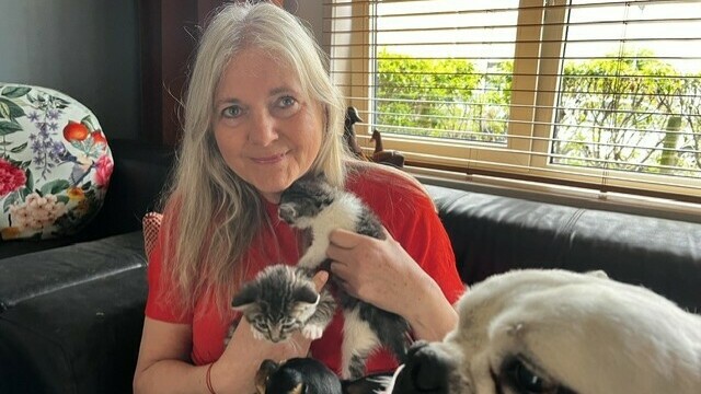 Zeeuwen kunnen dierenarts niet meer betalen: 'Dit zijn echte noodsituaties'