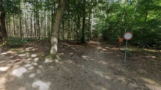 Foto: Gemeente wil bos kopen: 'Inwoners en bezoekers moeten kunnen blijven genieten'