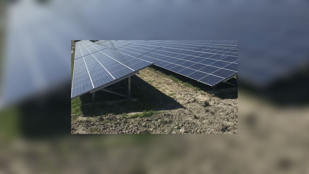 Historische vereniging tegen plannen voor zonnepark bij Opeinde