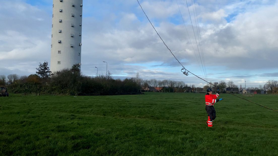 De lampen worden in het weiland allemaal nagekeken.