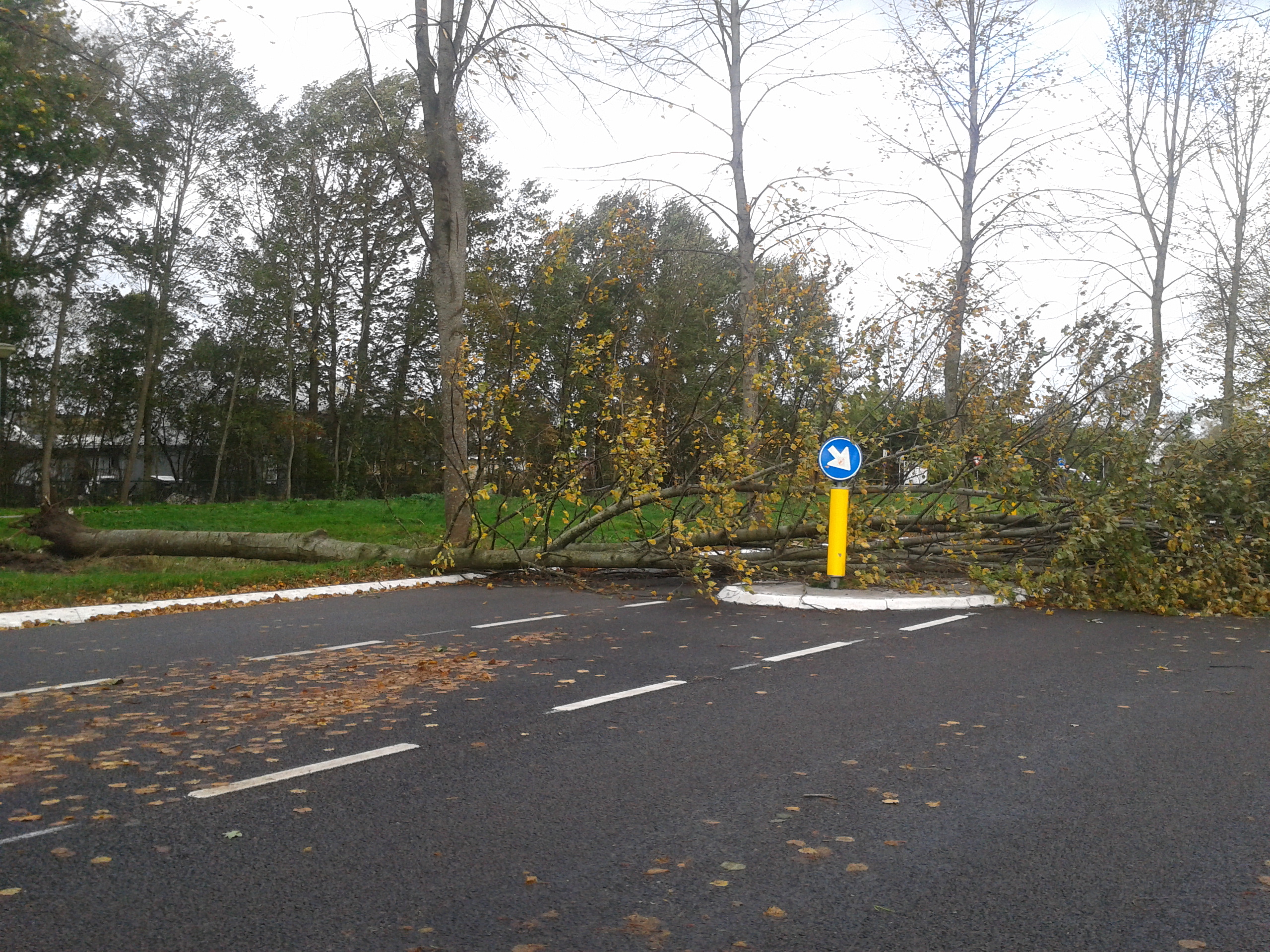 Zware Windstoten Verwacht In Noord-Nederland - RTV Drenthe