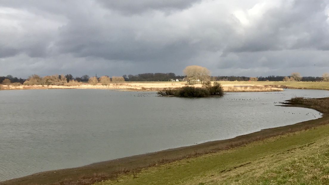 Iedere zondagochtend tussen 7.00 en 10.00 uur struint verslaggever Laurens Tijink door de Gelderse natuur. Vandaag gaat hij samen met Bart Beekers, van ARK natuurontwikkeling, op zoek naar otters in de Ooijse Graaf. Zullen ze er één tegenkomen?