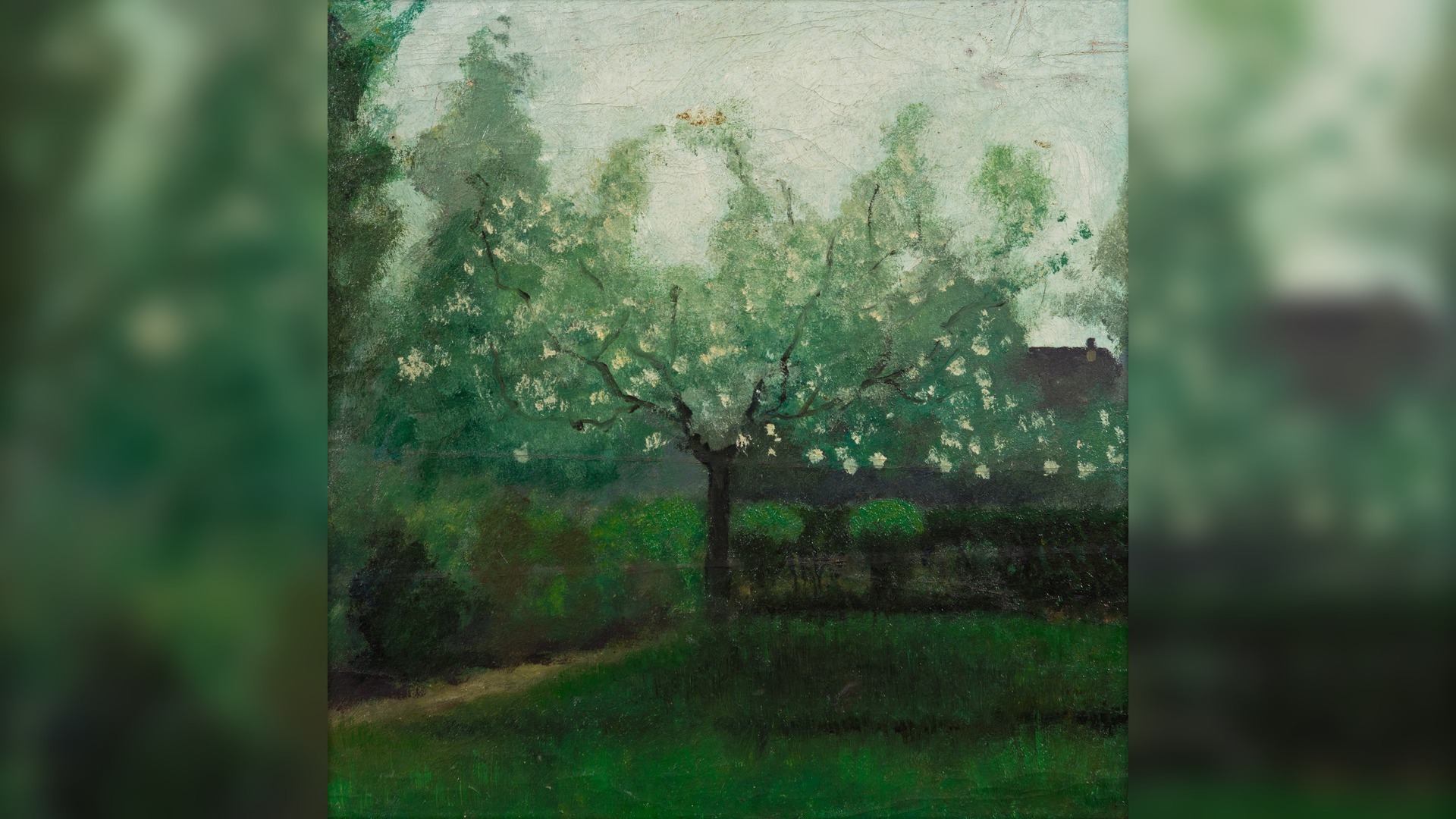 Pruimenboompje in bloei fan Jan Mankes