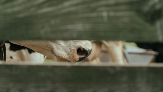 Politie pakt Puttenaar op nadat boer bedreigd is