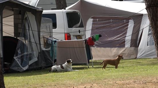 Foto: Een van de oudste campings bestaat honderd jaar: 'Mijn vader kwam hier in 1925 al'