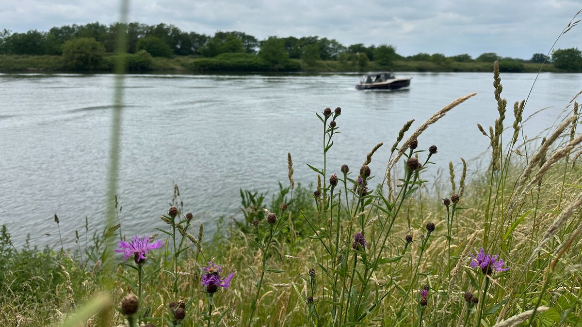Limburg Kiekt: Griendtsveen, Koningslust, Eijsden en...