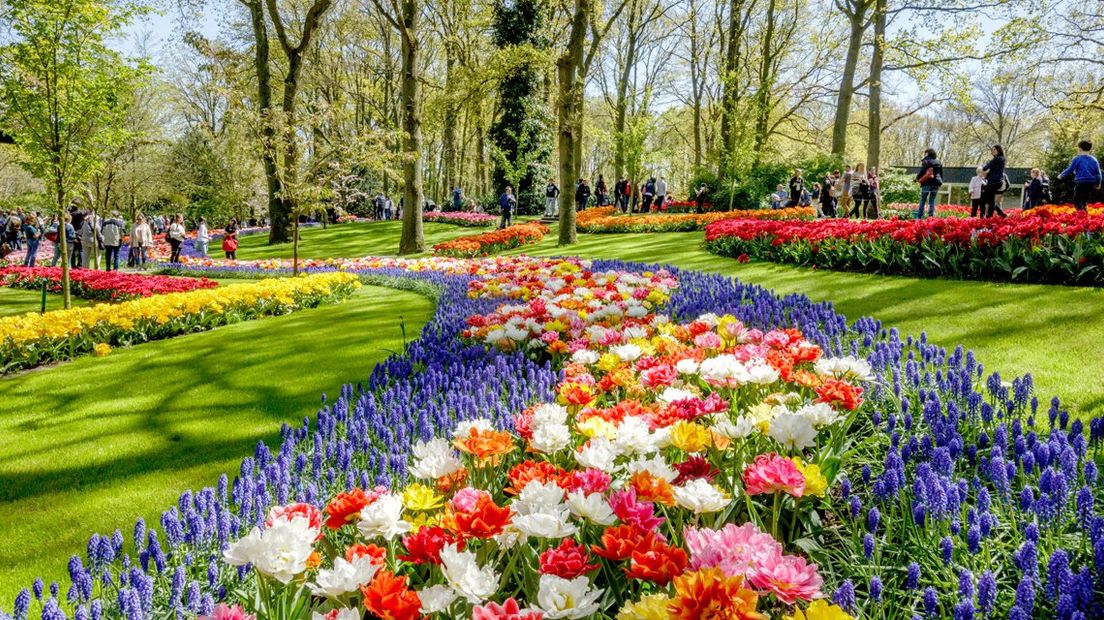 Keukenhof 2017