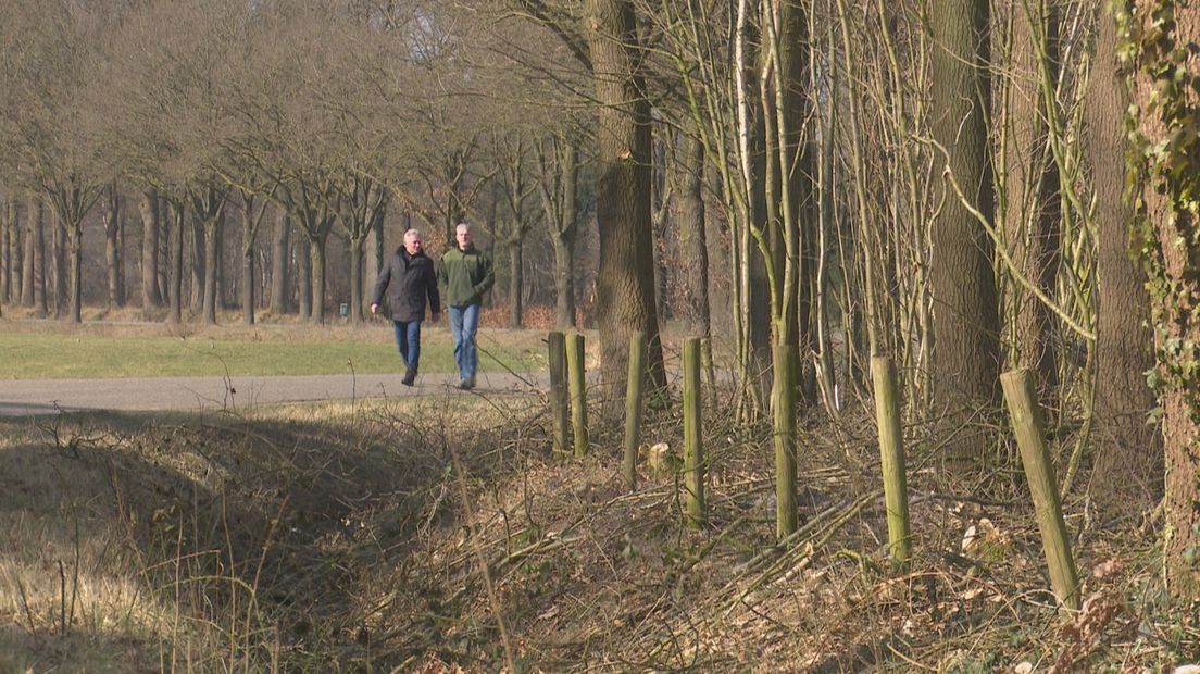 Pastoors en Van Benthem wandelen door het Twents coulissenlandschap