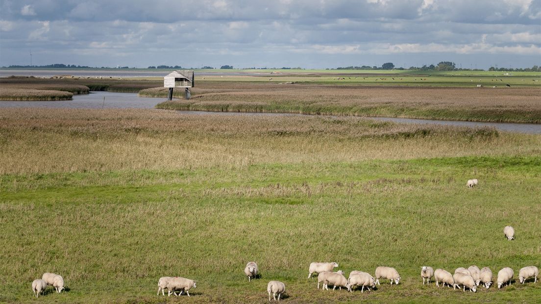 Nieuwe Statenzijl