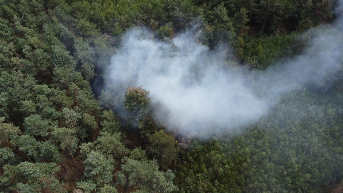 Grote natuurbrand in Vredepeel: meerdere eenheden ingezet