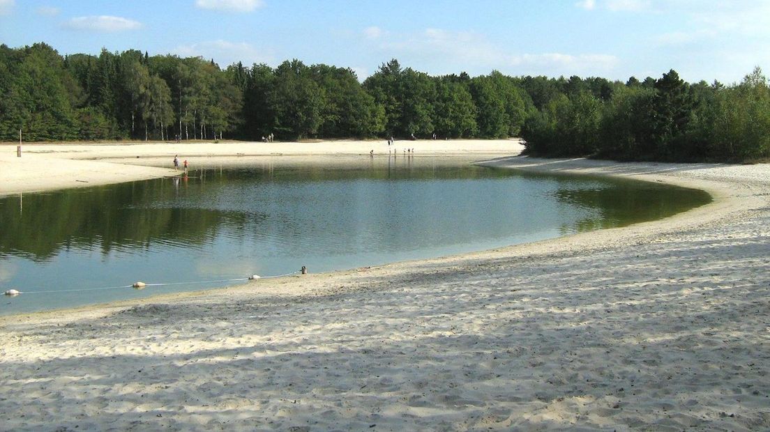 Zwarte Dennen