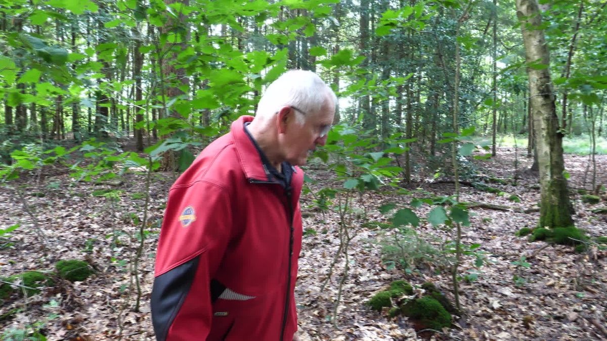 Staatsbosbeheer mag bomen bij mountainbikepad Gieten niet kappen