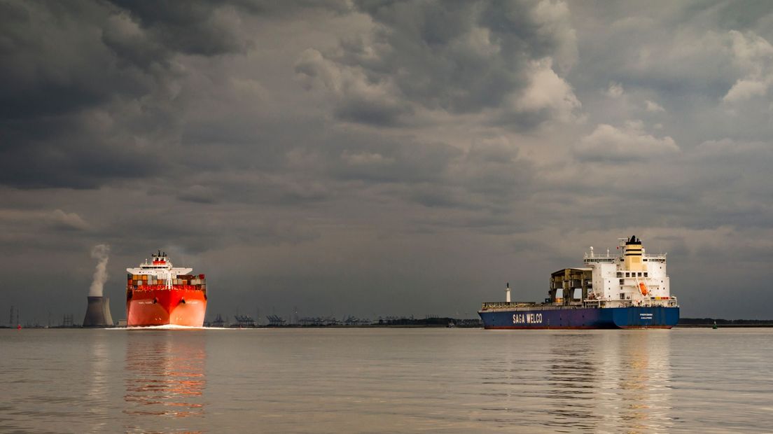 Westerschelde bij Bath