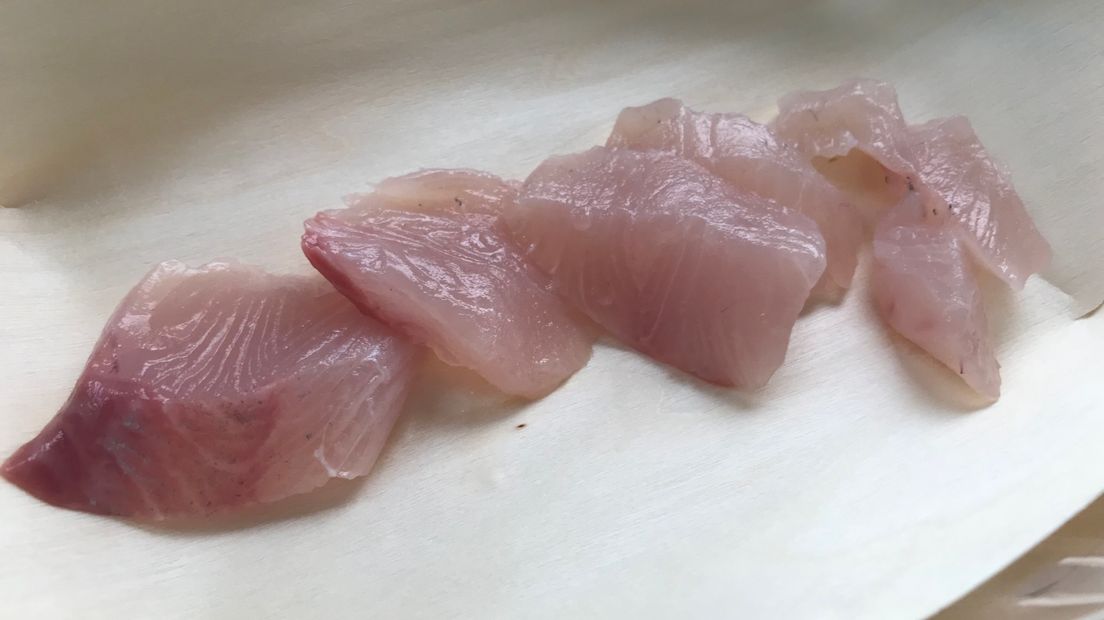 Rauwe filets van kingfish