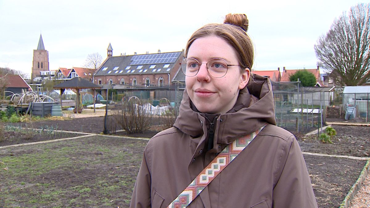 Reacties op PFAS-onderzoek in de ruim 300 volkstuinen van Veere: 'Heb je liever niet'