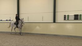 Springruiters Daan van Geel en Mareille Schröder dragen hun genen verrassend goed over