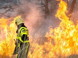 Hoogste risiconiveau op natuurbrand van kracht: Friese brandweer staat paraat
