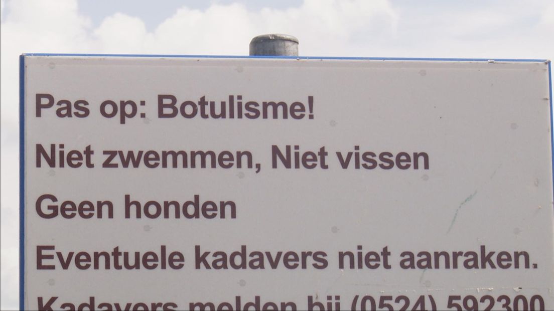 Botulisme in sloot bij Vriezenveen