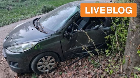 auto crasht na botsing met ree • snelweg bezaaid met kratjes. auto crasht na botsing met ree • snelweg bezaaid met kratjes.
