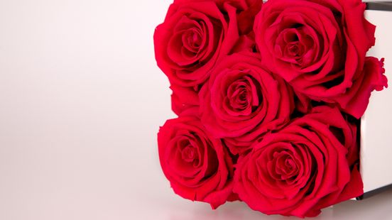 Portemonnee trekken: peperdure rozen nog steeds het populairst met Valentijn Home