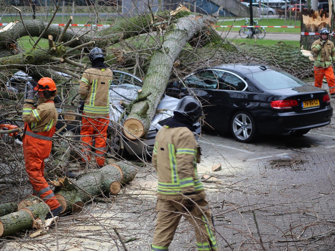 Omgevallen boom op de Wevershoekstraat