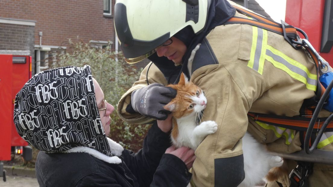 De brandweer brengt de kat terug bij de eigenaresse