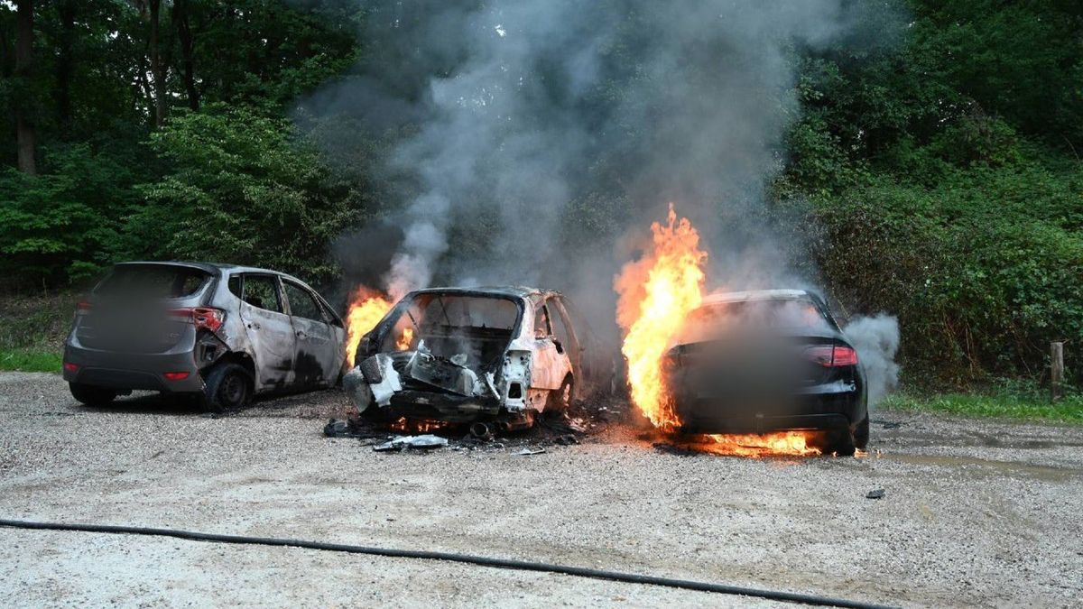 Brand verwoest meerdere auto's op parkeerplaats