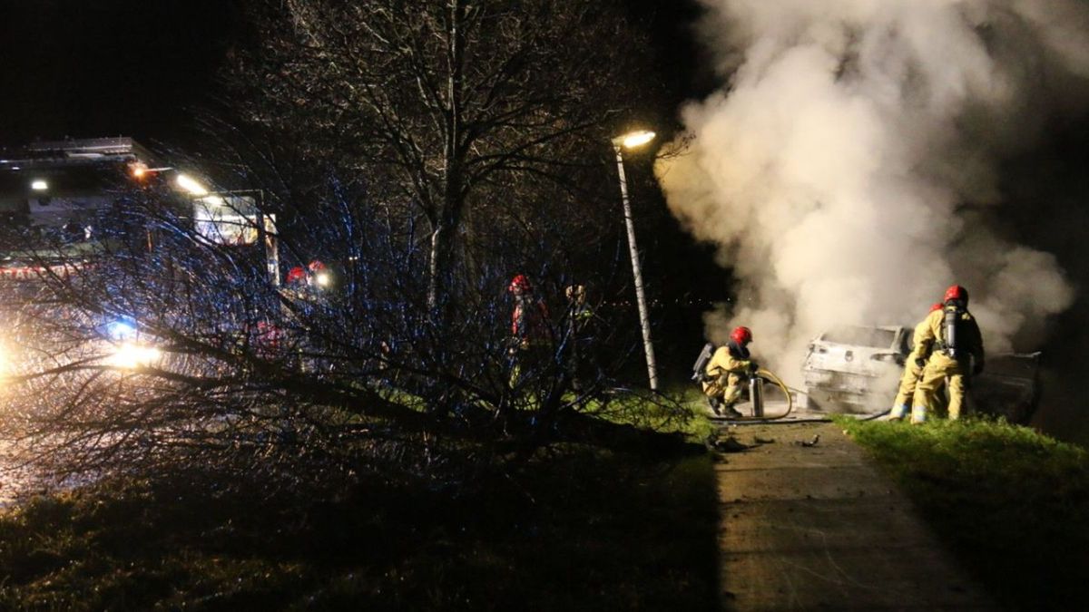 Auto botst op boom en vliegt in brand in Nieuw Beerta