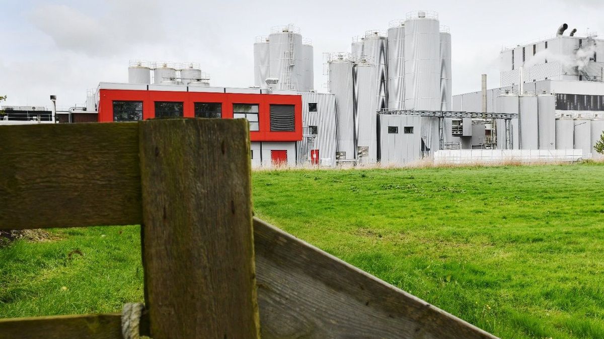 De fabriek in Workum vernieuwt: FrieslandCampina steekt 90 miljoen in eiwit