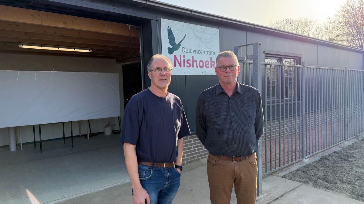 Nieuw duivencentrum in Kruiningen moet hét centrale punt worden van Zeeland en Brabant: 'Van alle ge