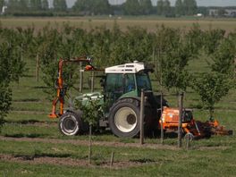 Aardappelboer Levien zet akkers vol met notenbomen