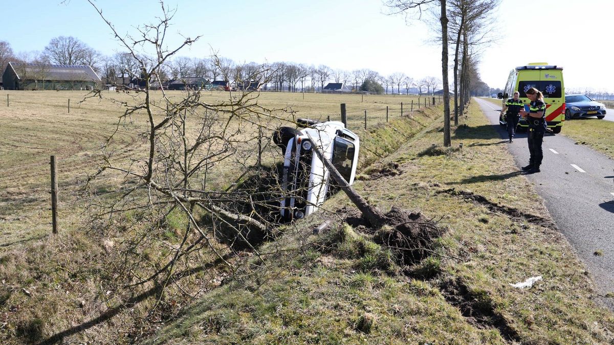 Oldtimer botst tegen boom en komt in sloot terecht bij Oosterhesselen