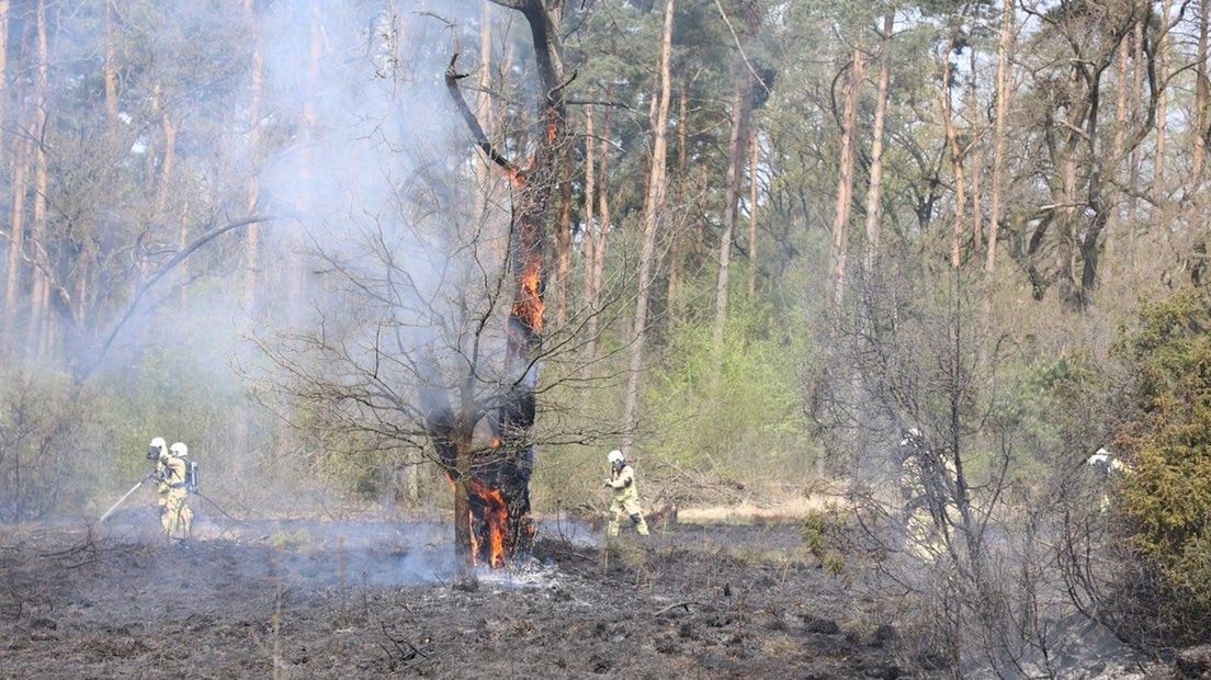 Bestrijding natuurbrand