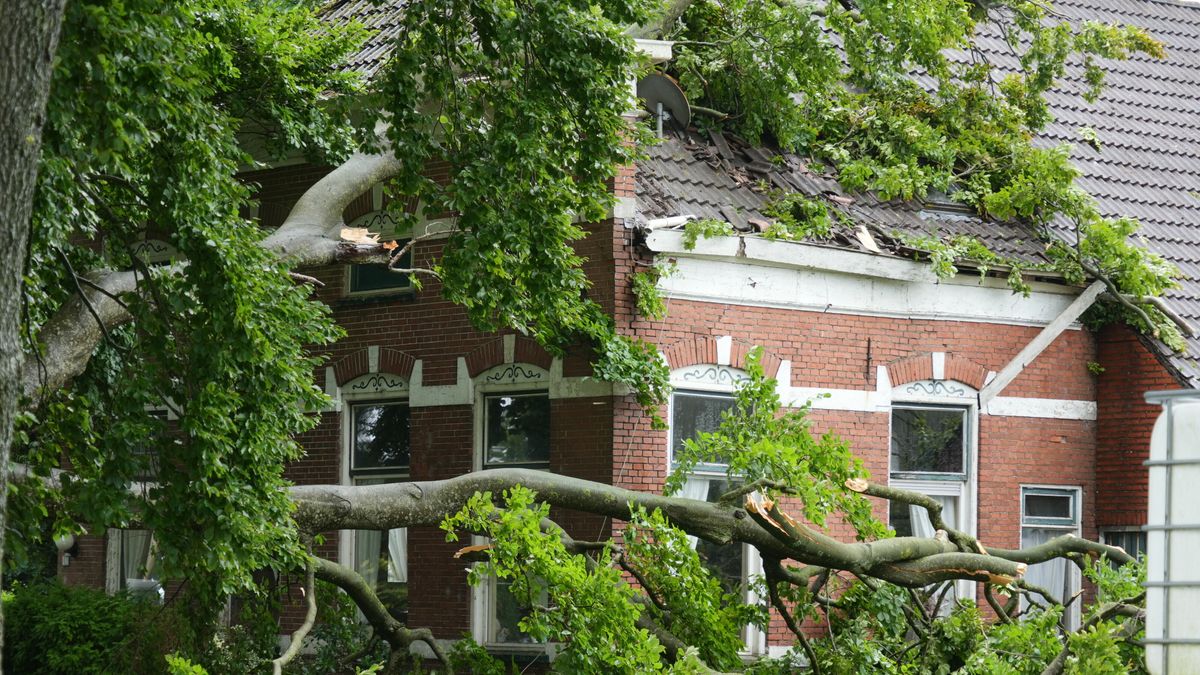 Boom knakt en belandt op huis