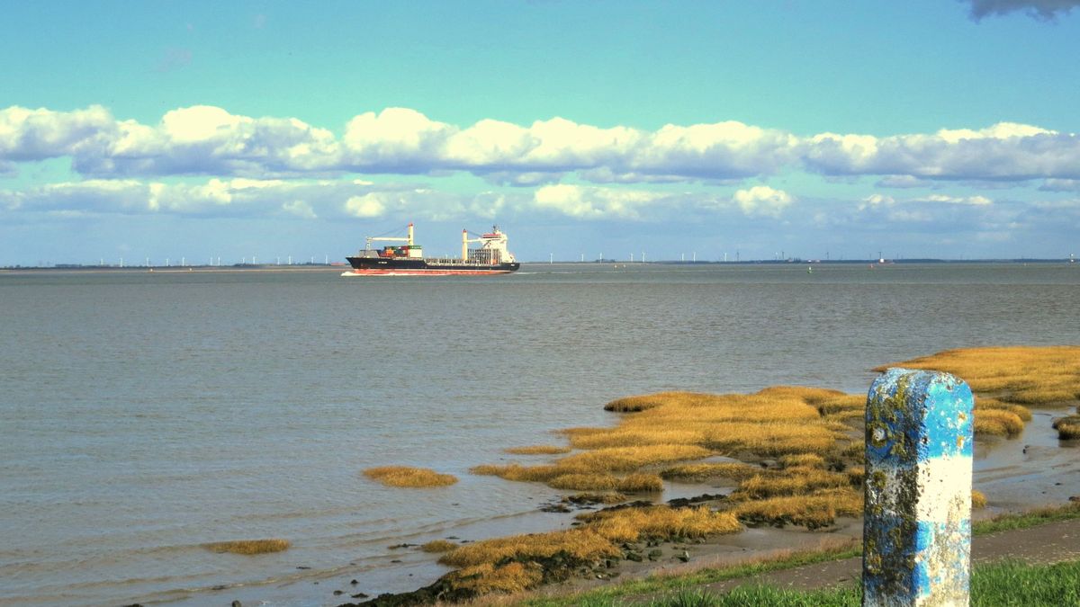 'Wonen langs de Westerschelde alleen zorgt niet voor meer PFAS in je lichaam'