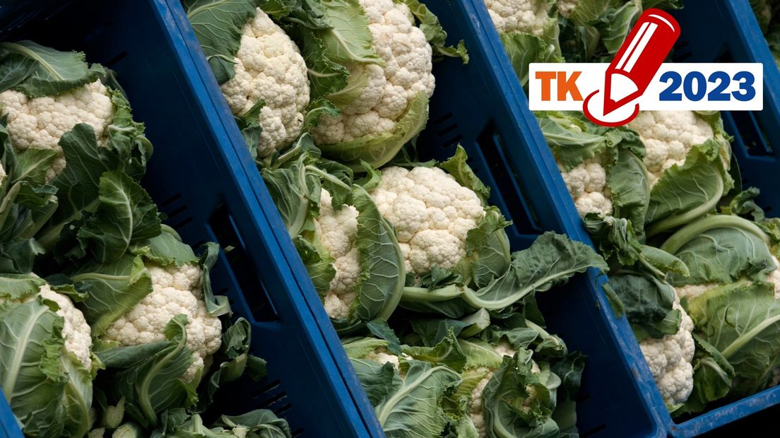 Verschillende partijen willen een lager btw-tarief op groente en fruit