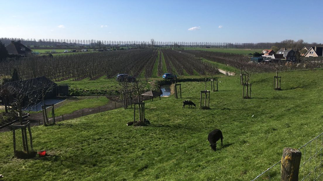 Boerenland in de polders bij Lexmond (gemeente Zederik).