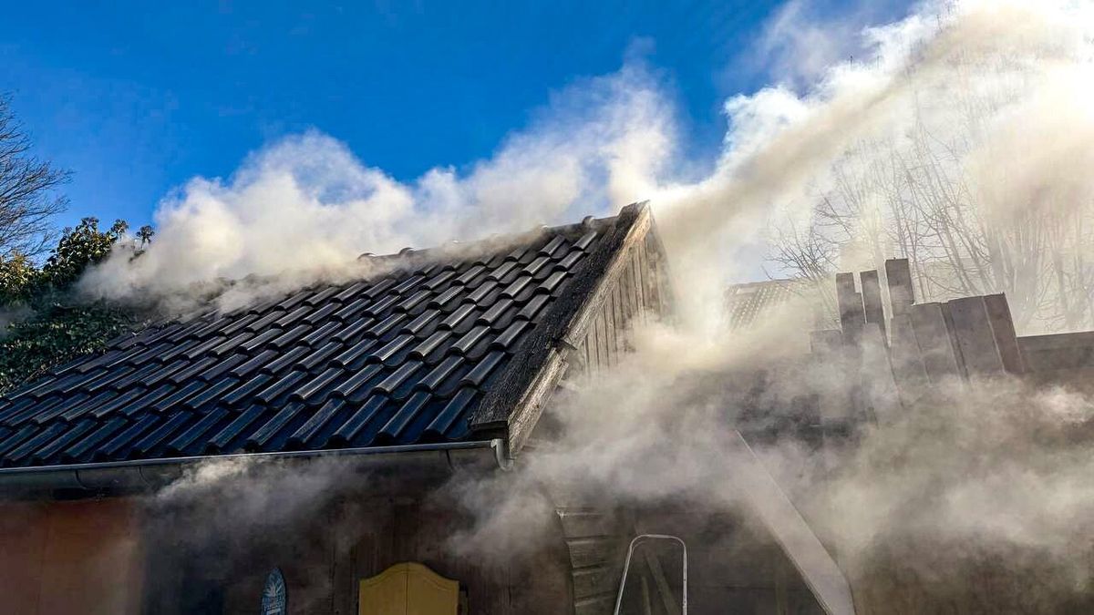Resultaten verkeerscontrole op A32 | Hennepkwekerij op Ameland