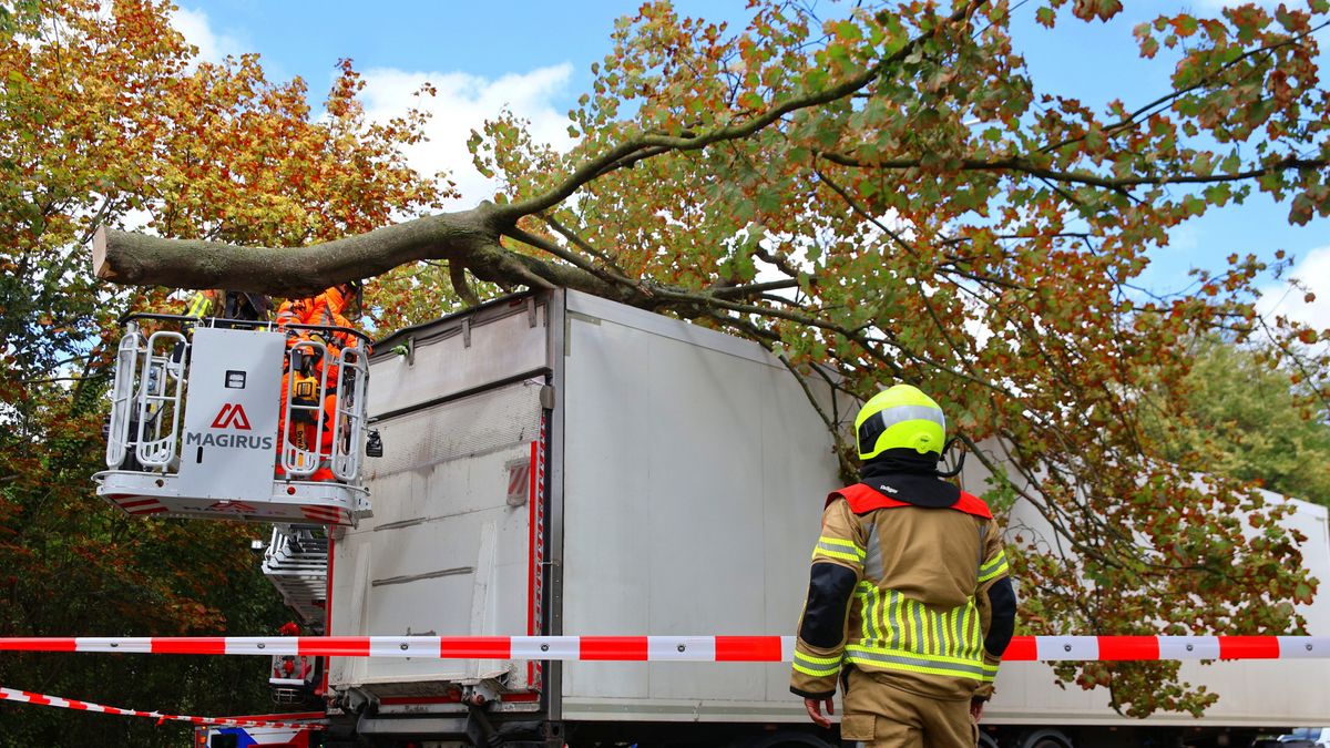 Deel van boom breekt af na botsing en valt op vrachtwagen